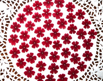 Dried pressed flowers, real dried red verbena flowers 30 pcs.