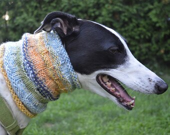 Dog snood, sighthound, greyhound, whippet, lurcher, Italian greyhound