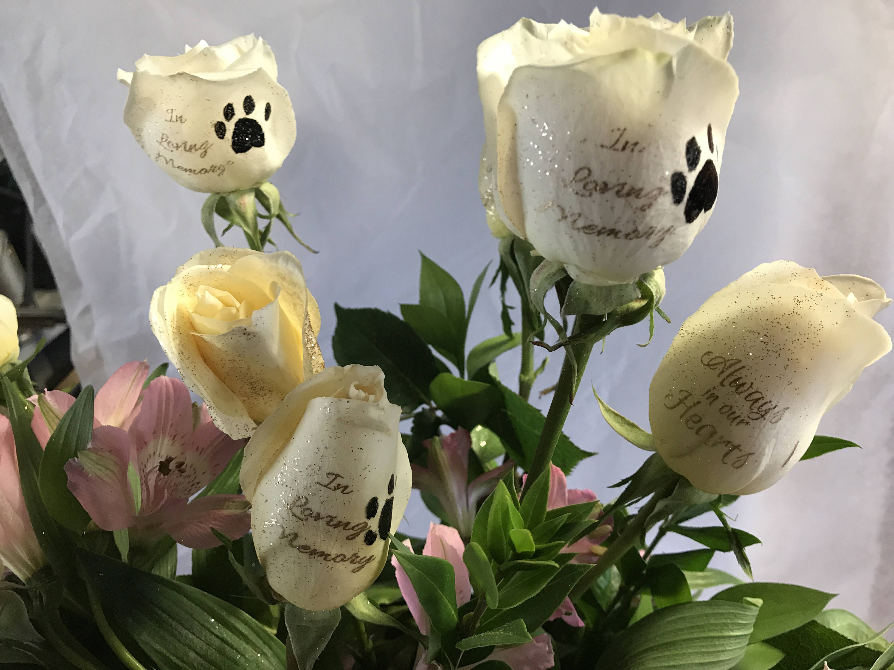 Best Pet Sympathy Images Sympathy Gifts Planting Roses Memorial | Hot ...