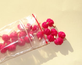 set of 5 raspberry cotton candy and 1.4 cm * 0.8 cm velvet dust