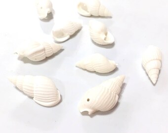 X 5 PCs Brady 12 to 20 mm shell beads