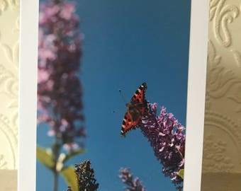 Butterfly photo greeting card - blank inside