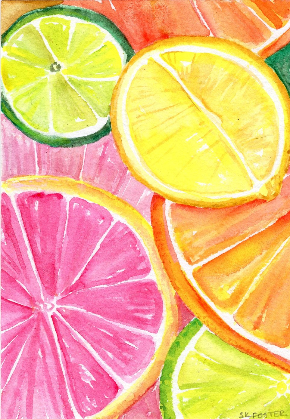 Citrus Watercolors Paintings Ruby Red Grapefruit Lemon