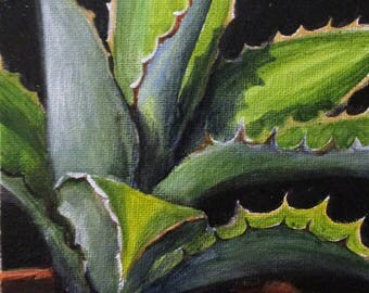 Agave - original daily painting by Kellie Marian Hill
