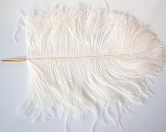 Large Ostrich Feather deluxe ballpoint Pen - Ivory