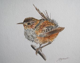 troglodyte mignon, oiseaux, nature, jardin, art, dessin encre et aquarelle, original signé