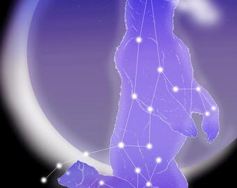 Stargazing Constellation Bear Ursa Major and Ursa Minor 8 x 10 Print