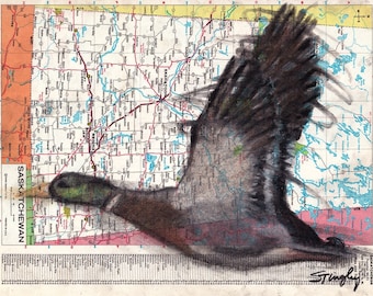 Custom Bird Drawing Duck #2 on Map