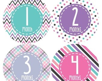 Monthly Baby Stickers Baby Month Stickers Baby Girl Month Stickers Monthly Photo Stickers Monthly Milestone Stickers 363