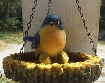 Bird Feeder, Bluebird Feeder