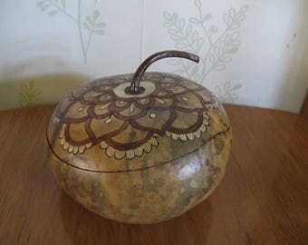 box original squash gourd type flat Corsica 31