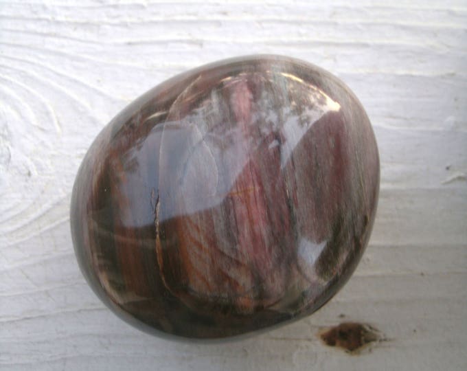 Palm Stone of Petrified Wood, 193g, 6.8 oz, gorgeous graining, salicified, agate replaced, fossil wood, gift for him or her, metaphysical