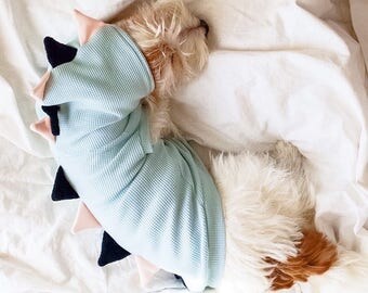 Dog hoodie Dog clothes / Dino dog / Mint