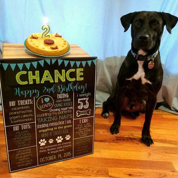 Dog Birthday Chalkboard Sign-Puppy Dog Dog Bones Puppy