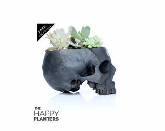 Skull Planter Black, Human Skull Vase, Office Planter, Desk Planter, Air plant Terrarium, Cactus Planter, Succulent Vase, Human Skull Bowl
