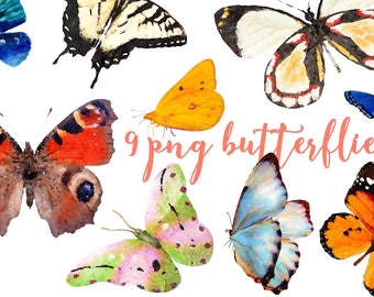 watercolor clipart Butterflies Watercolor floral clipart tropical 9 png Aquarelle Machaon Digital Clip Art watercolour colorful clip art