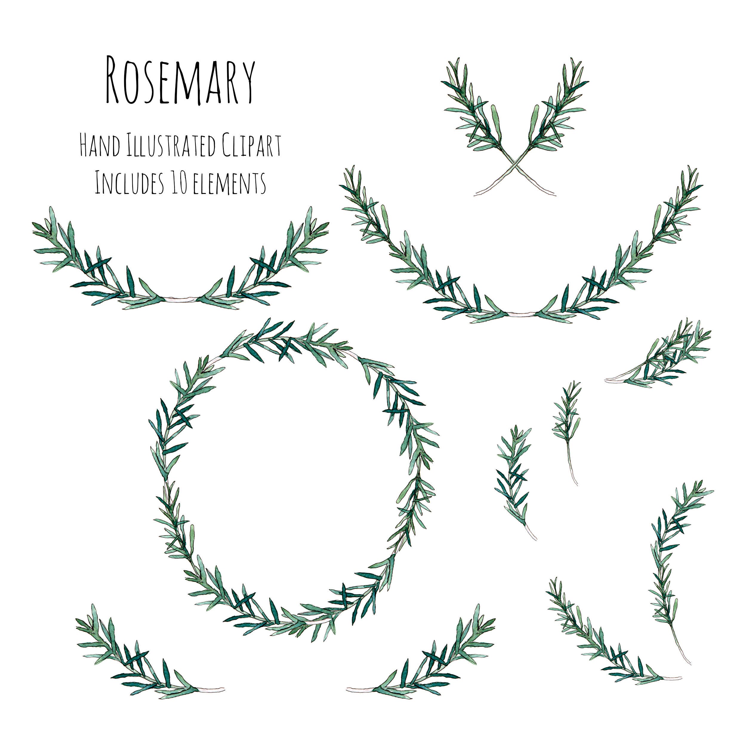 Clipart Illustration Rosemary herb wreath frame