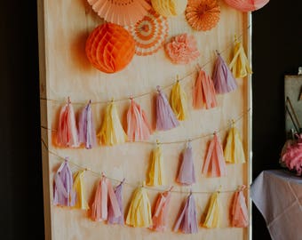 Photo Booth Backdrop | Hire