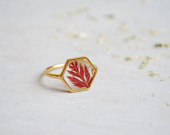 Maple leaf ring Hexagonal ring Veritable pressed leaf ring Resin ring Pressed maple leaf Red maple leaf ring Gold 16K plated Geometrical