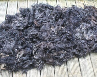 Spelsau raw fleece 1.5kg/3.31lb