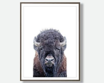 Buffalo poster | Etsy