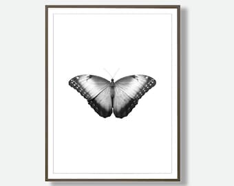 Black and White Butterfly, Butterfly Wall Art, Modern Printable, Butterflies, Instant Download Butterfly, Scandinavian Wall Art, Butterfly