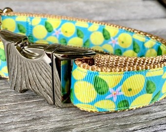 Fresh Lemons 1" Dog Collar, Yellow Dog Collar Medium to Large Breed Dogs Nylon Webbing Collar