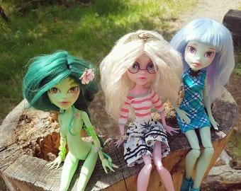 Custom Monster high repaint