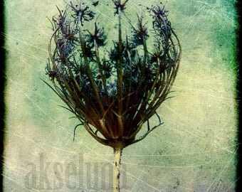 Fine art photography print * autumn * 15cm x 15cm
