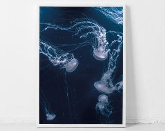 Blue Jellyfish Print, Jellyfish Photography, Ocean Art Print -Blue Jellyfish Decor, Jellyfish Photograph, Ocean wall