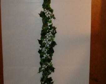 72" Chain English Ivy Garland, Home Decor, Weddings , Etc.