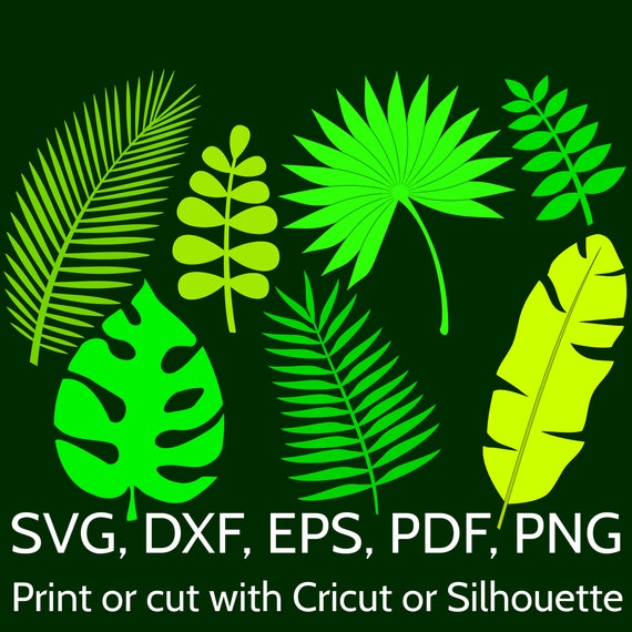 Download 7 Jungle Tropical Leaves SVG Cut Files for Cricut