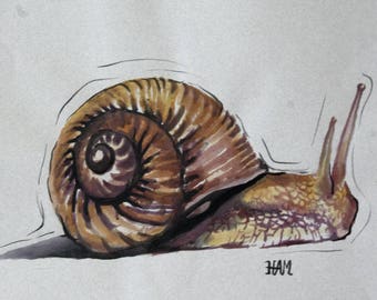 Whimsical Snail Illustration Illustrated Snail Fantasy