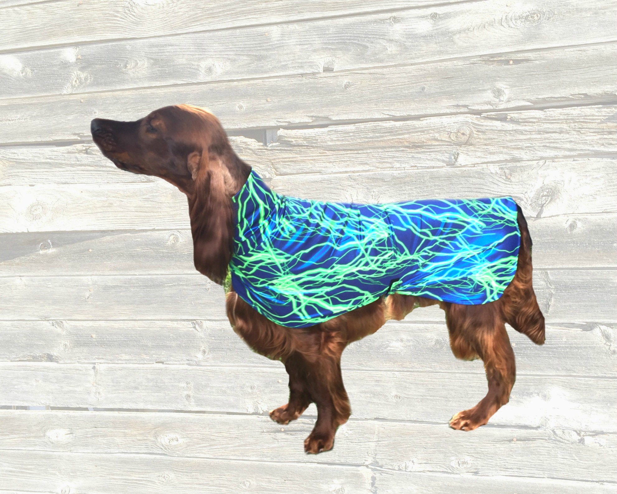 Dog Drying Coat dog slinkie dog grooming coat dog coat