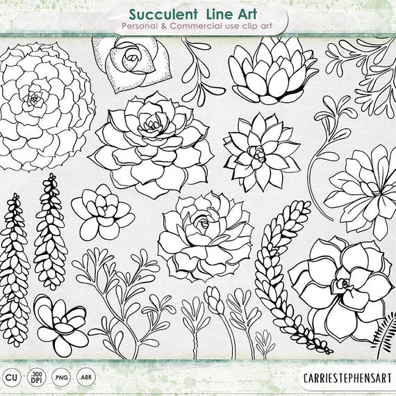 Succulent Line Art Printable ClipArt Outline Succulent