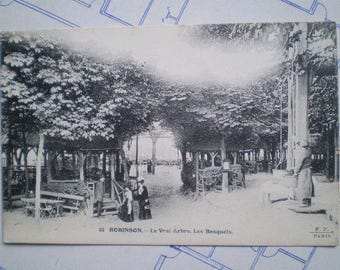 Robinson - 1916 - Le Vrai Arbre - Antique French Postcard