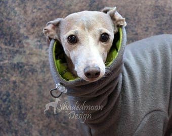 Made to order Italian Greyhound Grey Jammies with Green Cactus Print jersey lined Snood/Neck Warmer - see item details