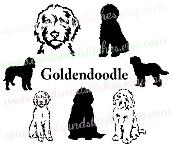 Download Goldendoodle SVG Dog Silhouettes Dogs SVG Digital