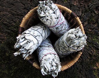 5" White Sage Smudge Bundle, California White Sage Stick, Sage Smudge Wand, Sage Smudge Bundle, Salvia apiana, 5 Inch Sage Bundle