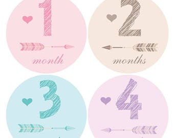 Baby Girl Monthly Stickers Purple Grey month sticker Baby