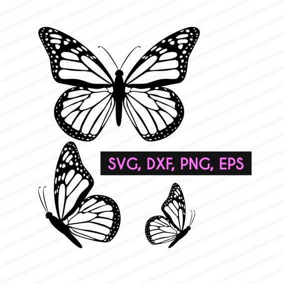 Butterfly svg butterfly eps butterfly dxf butterfly png