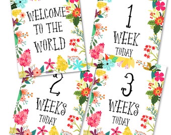 Baby Milestone Cards Printable, Baby Shower, Baby Monthly Cards, Baby Keepsakes, Baby Announcement Cards