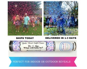 Gender Reveal | Gender Reveal Party| Gender Reveal Ideas| Gender Reveal Confetti Cannon| Smoke Bomb Alternative| Baseball or Bows| Popper