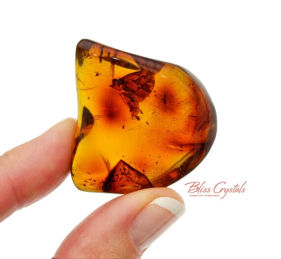 Rare! Pure RED GOLD AMBER w Insect Polished Tumbled Stone Genuine Mayan Golden Natural Healing Crystal and Stone Jewelry Bio Crystal #GA13