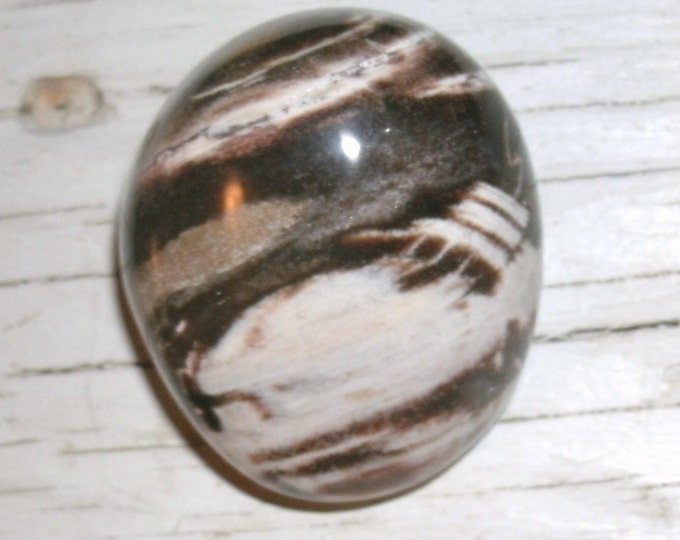 GORGEOUS contrasting Petrified Wood Palm Stone, Polished ,agatized wood, 122g / 4.3 oz., opalized, reiki, chakra, gift for collector,
