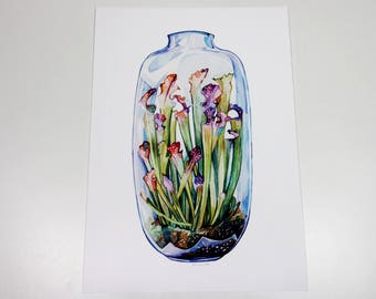 Pitcher Plant in a Glass Terrarium Print