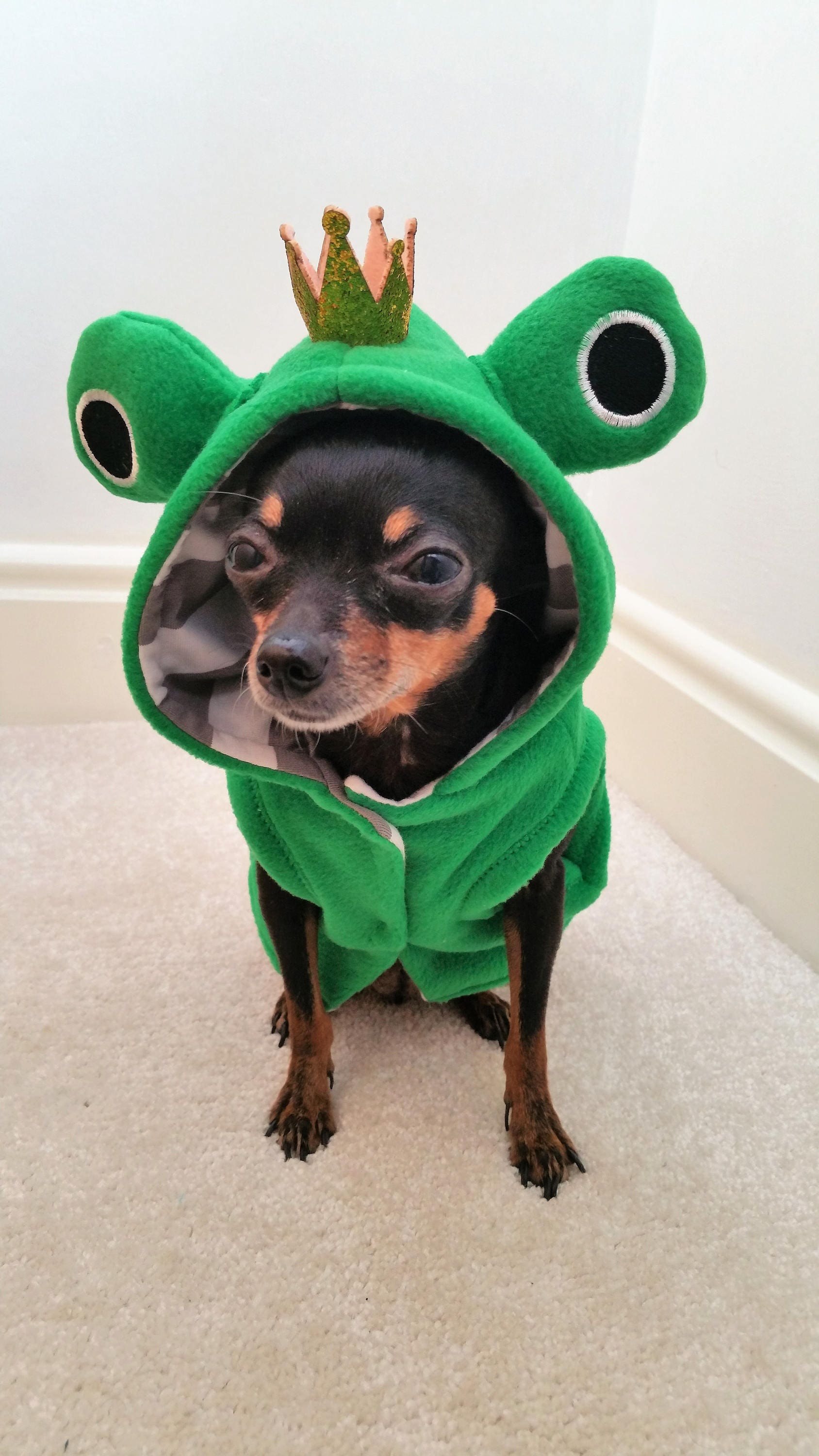 Frog Costumes For Dogs
 Small Dog Clothes Frog prince Halloween Costume Princess and