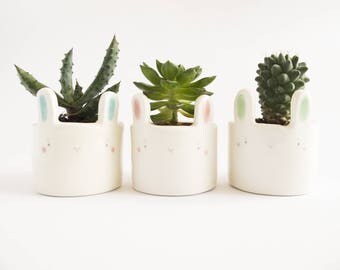 Cute Animal Planter, Small Bunny Ceramic Pot, Succulent Planter, Sweet Face Planter, Animal Plant Pot, Cute Desk Planter Clay Face.