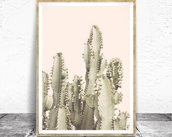 Desert Print, Cactus Photography, Desert Rose, Bohemian Decor, Neutral Colors, Boho Printable, Large Poster, Desert Photography, Pastel Pink