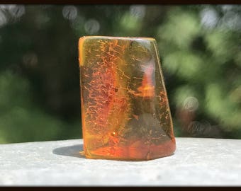 Genuine Fossilised Amber with Inclusion - found in the Baltic Sea - Eocene Period - FST002